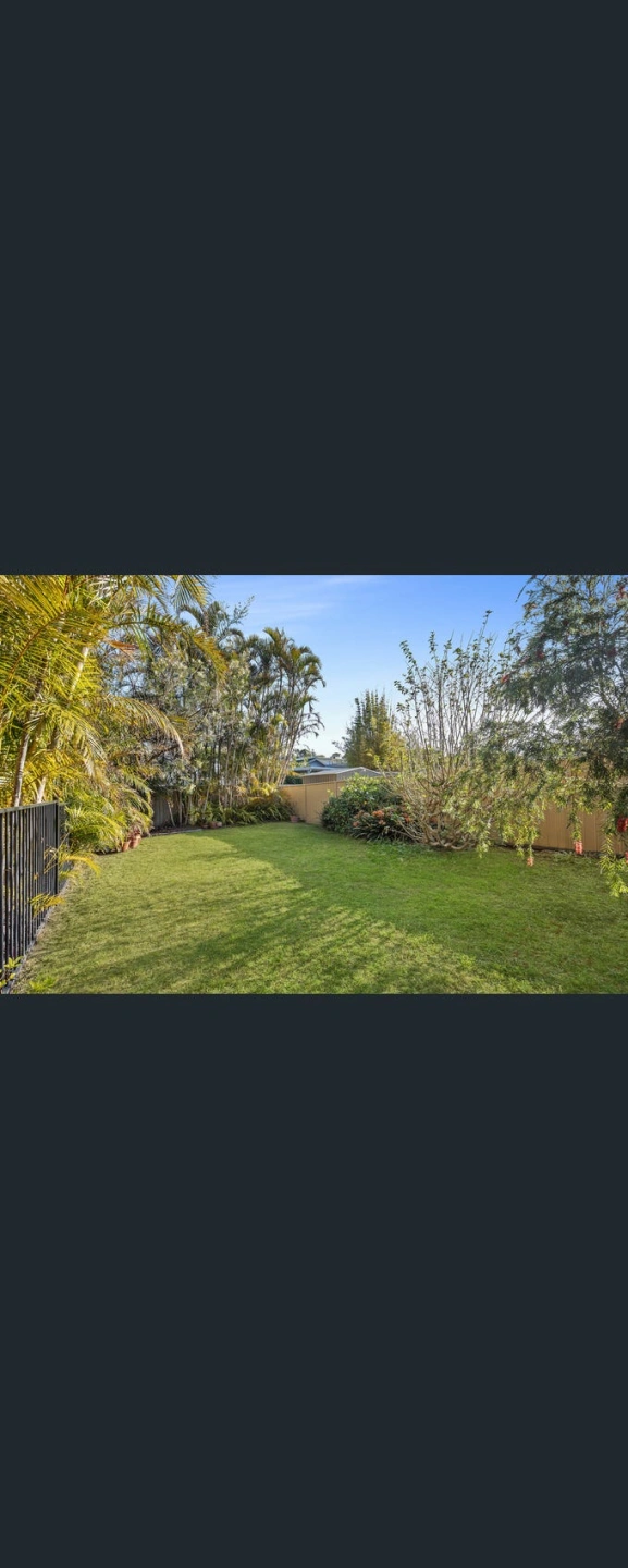 image11.jpg