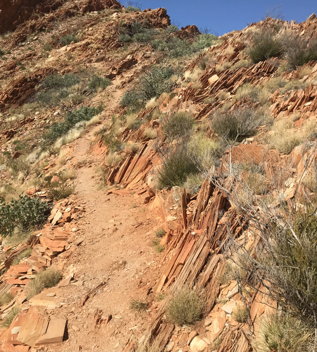 virtical shale geology.jpg
