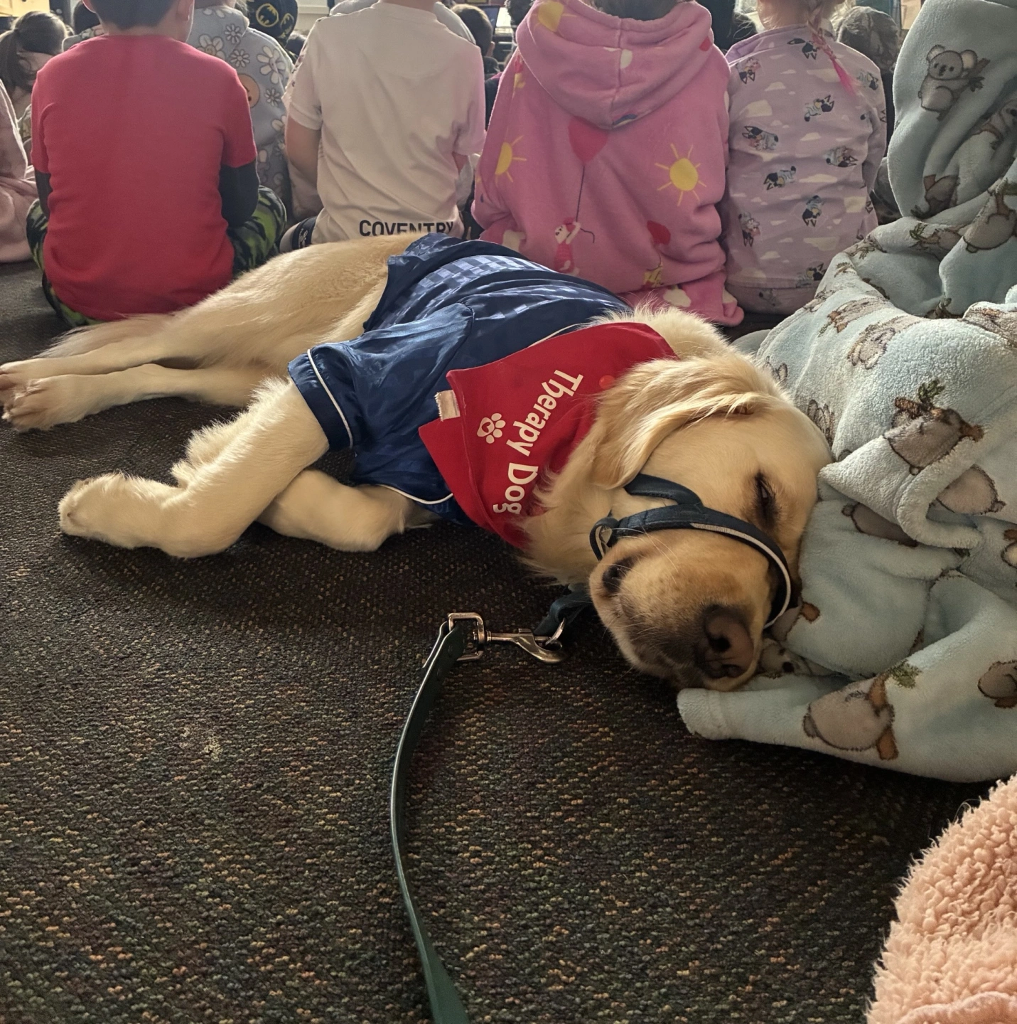 IMG_1123 (1).jpeg