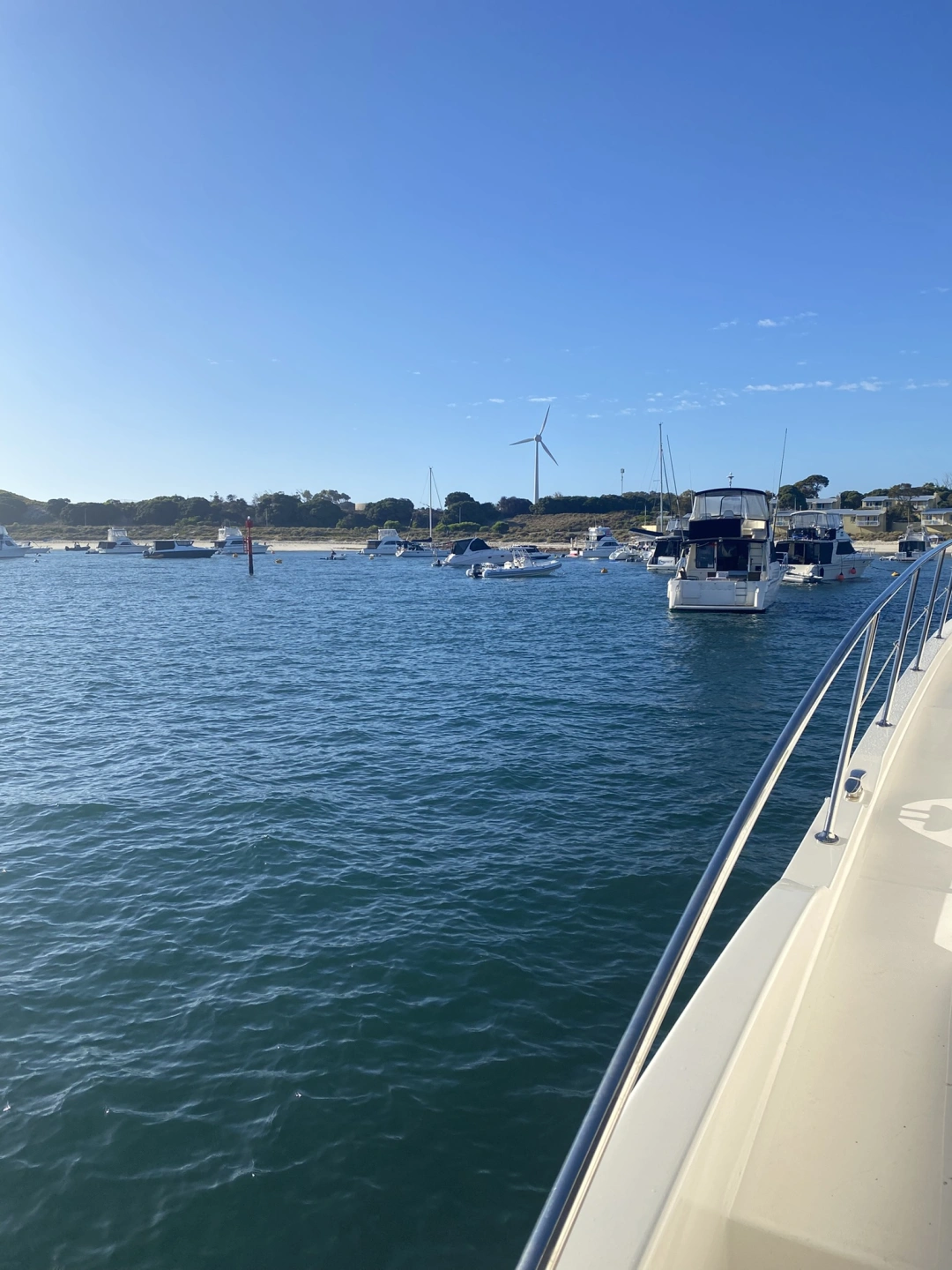 IMG_8219-1.JPEG