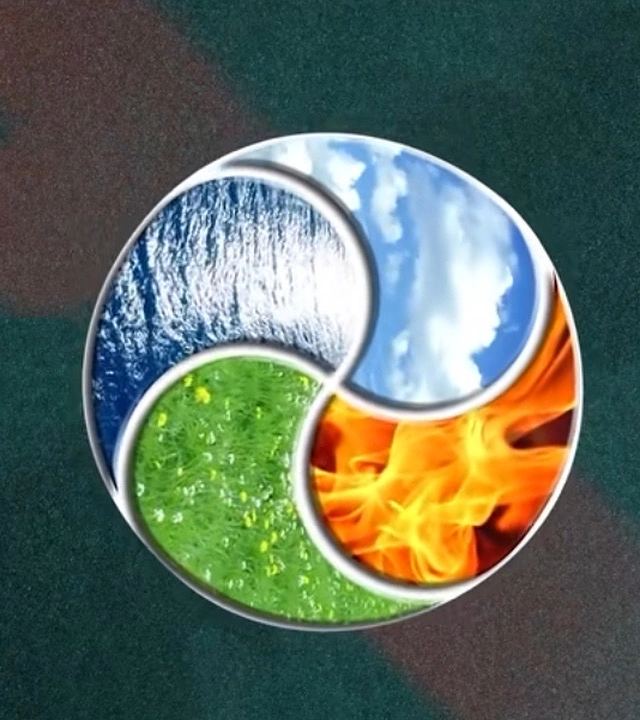 AVATAR GOOGITEX