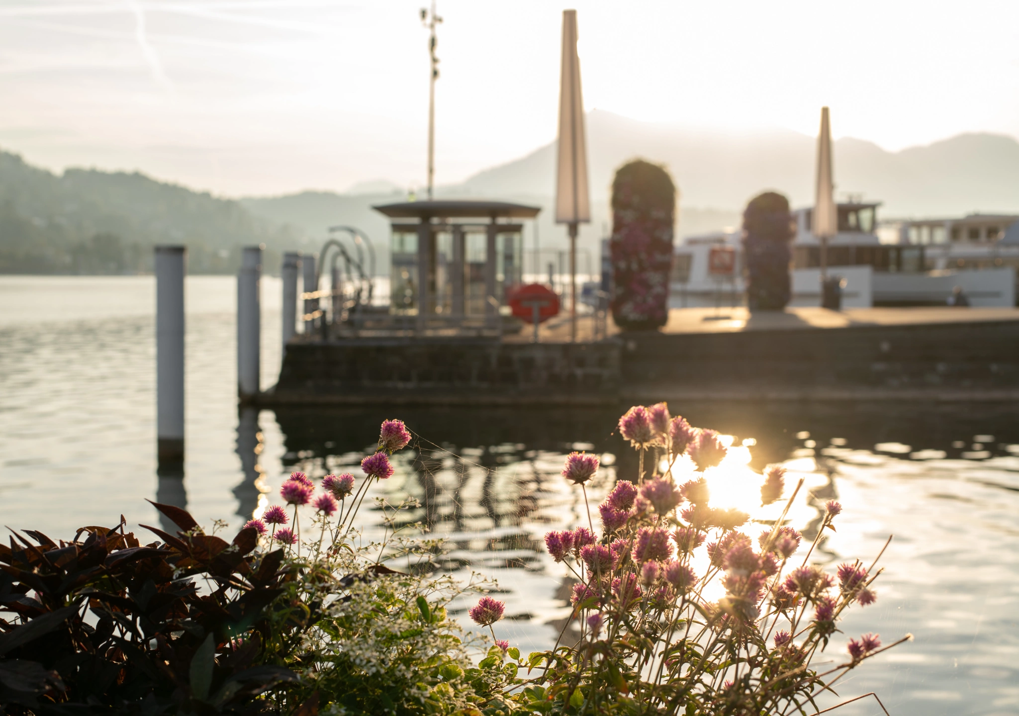 Lucerne (92 of 1).jpg