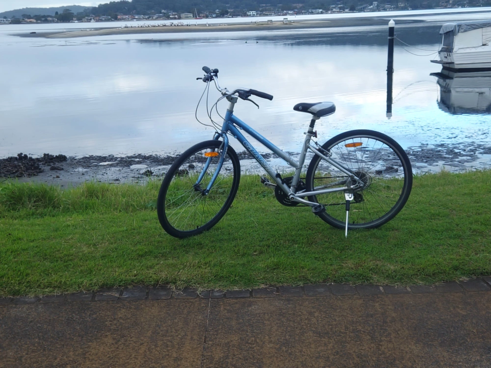 Bike Clean ups.jpeg