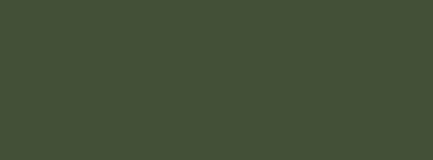 olive green background (1).png