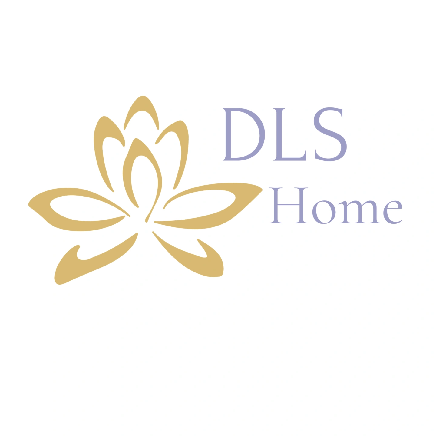 DLS HOME High-Res Logo .png