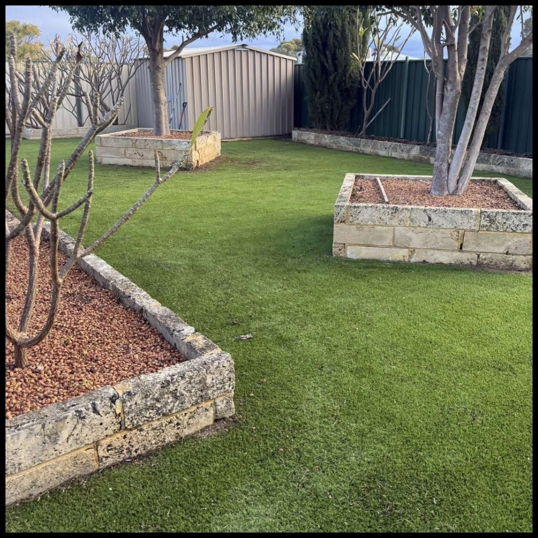 BEFORE (2).jpg