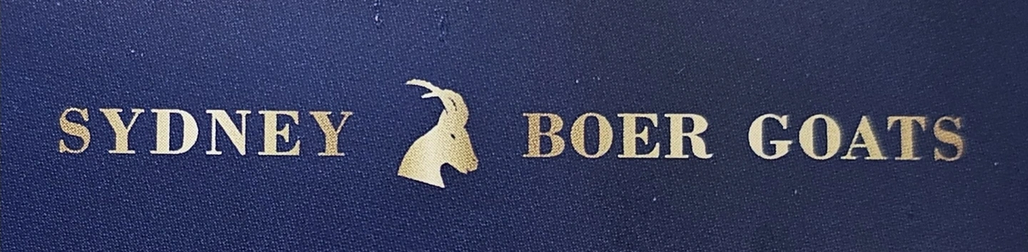 Sydney Boer Goats