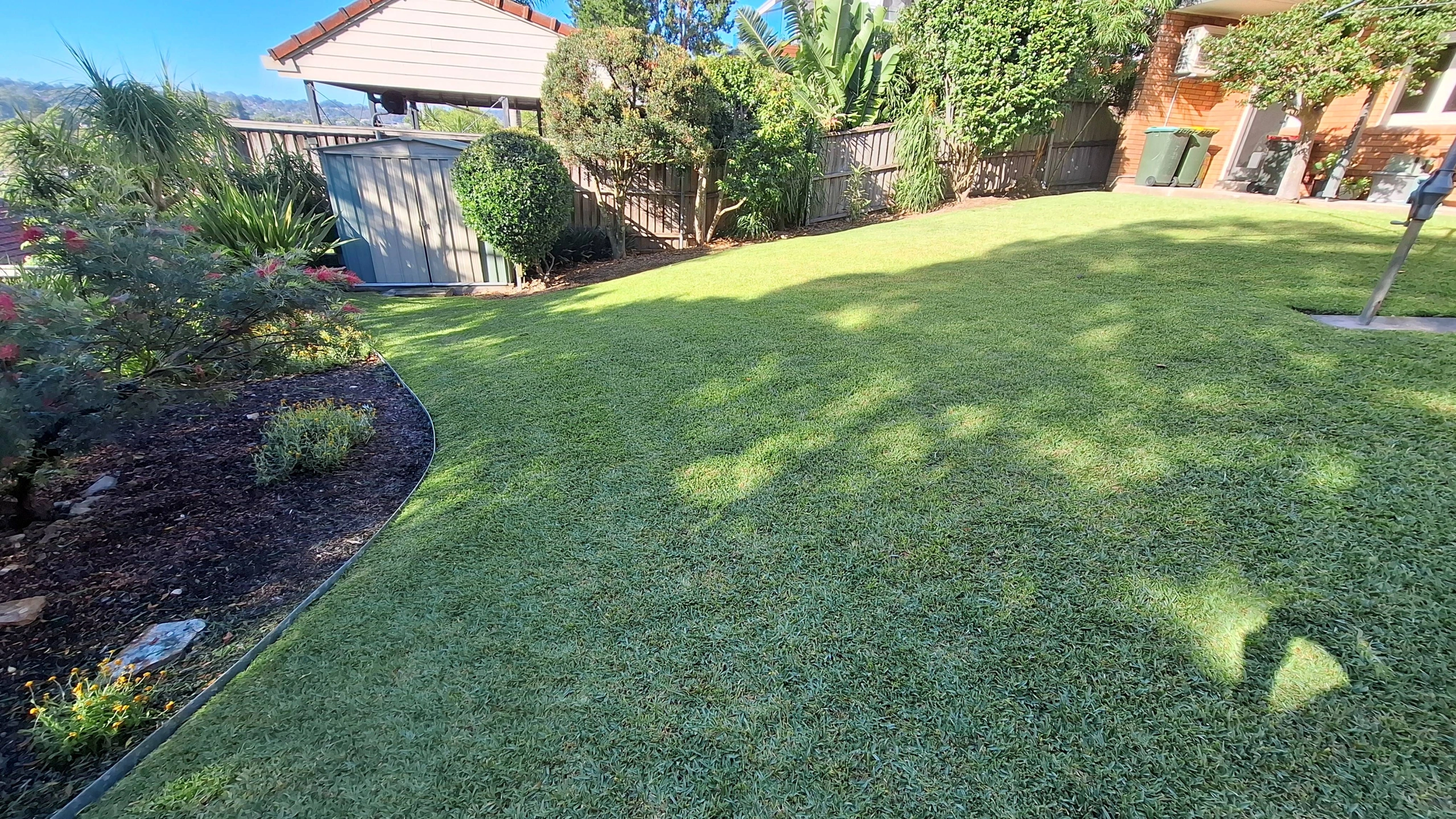 Client B Back Yard After.jpg