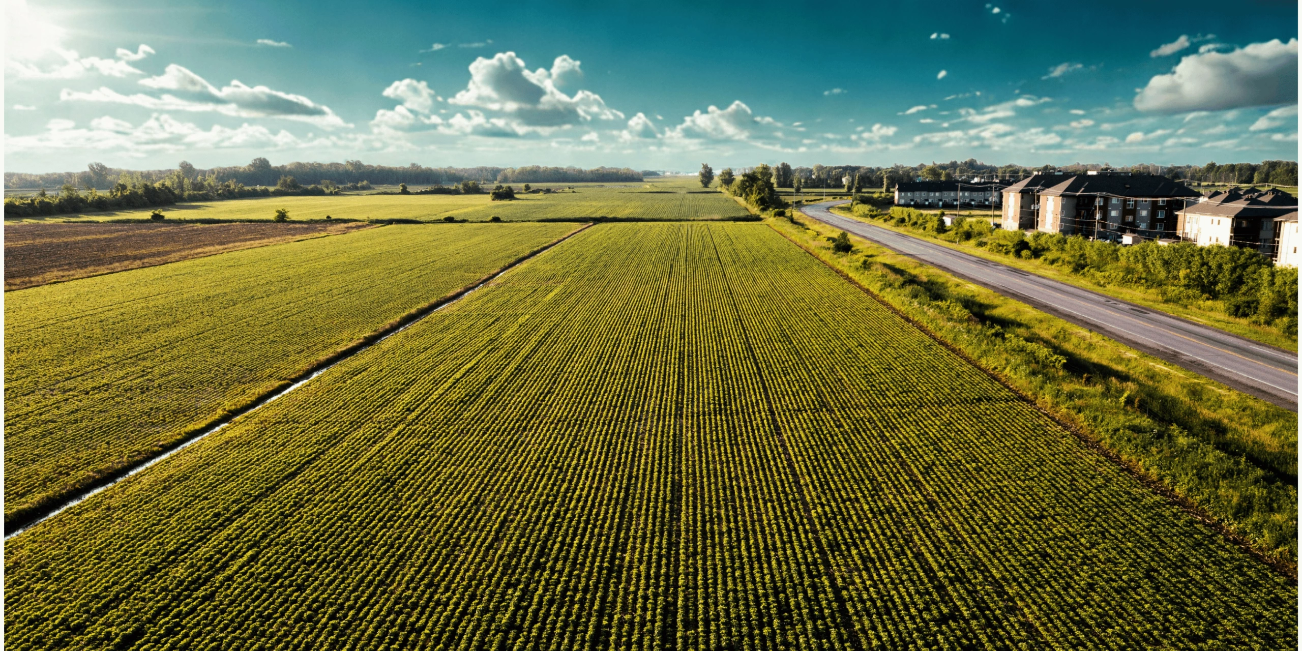 Untitled design (25).png