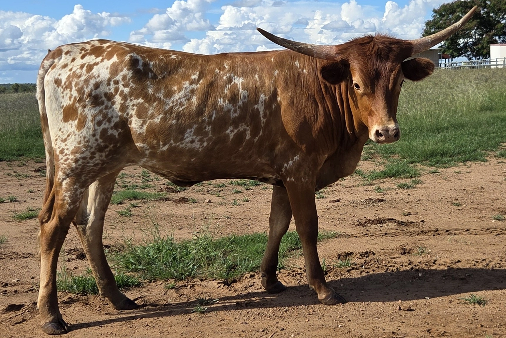 Mackenzie 21-2-26.jpg