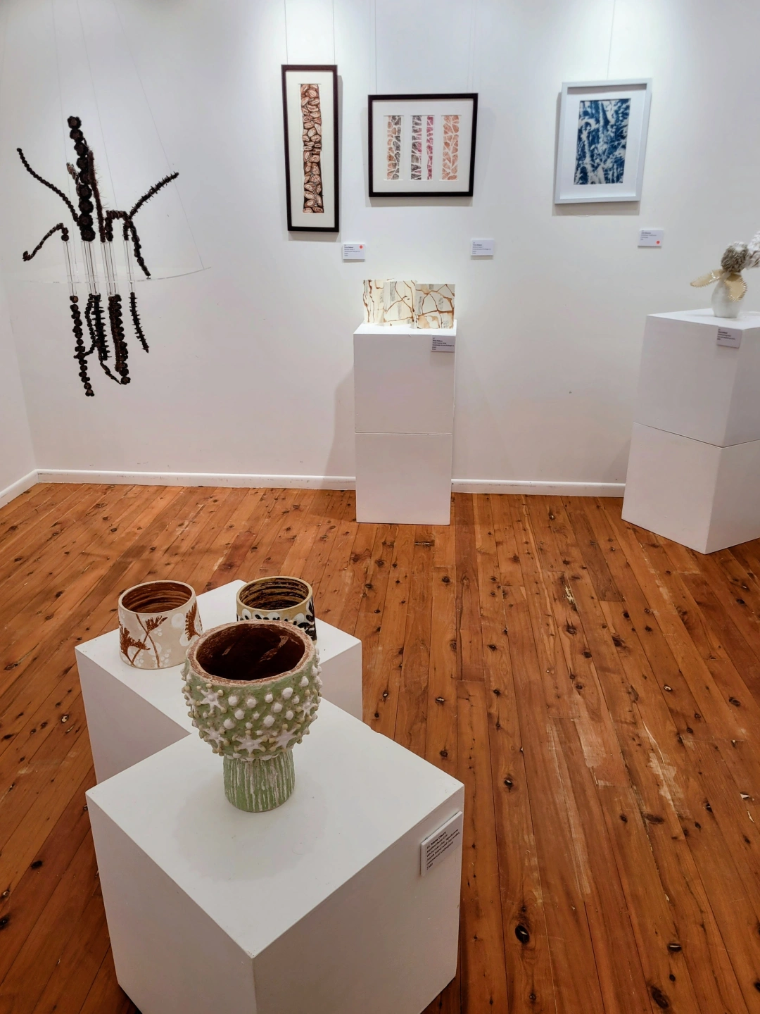 Wildflowering Exhibiiton.jpg