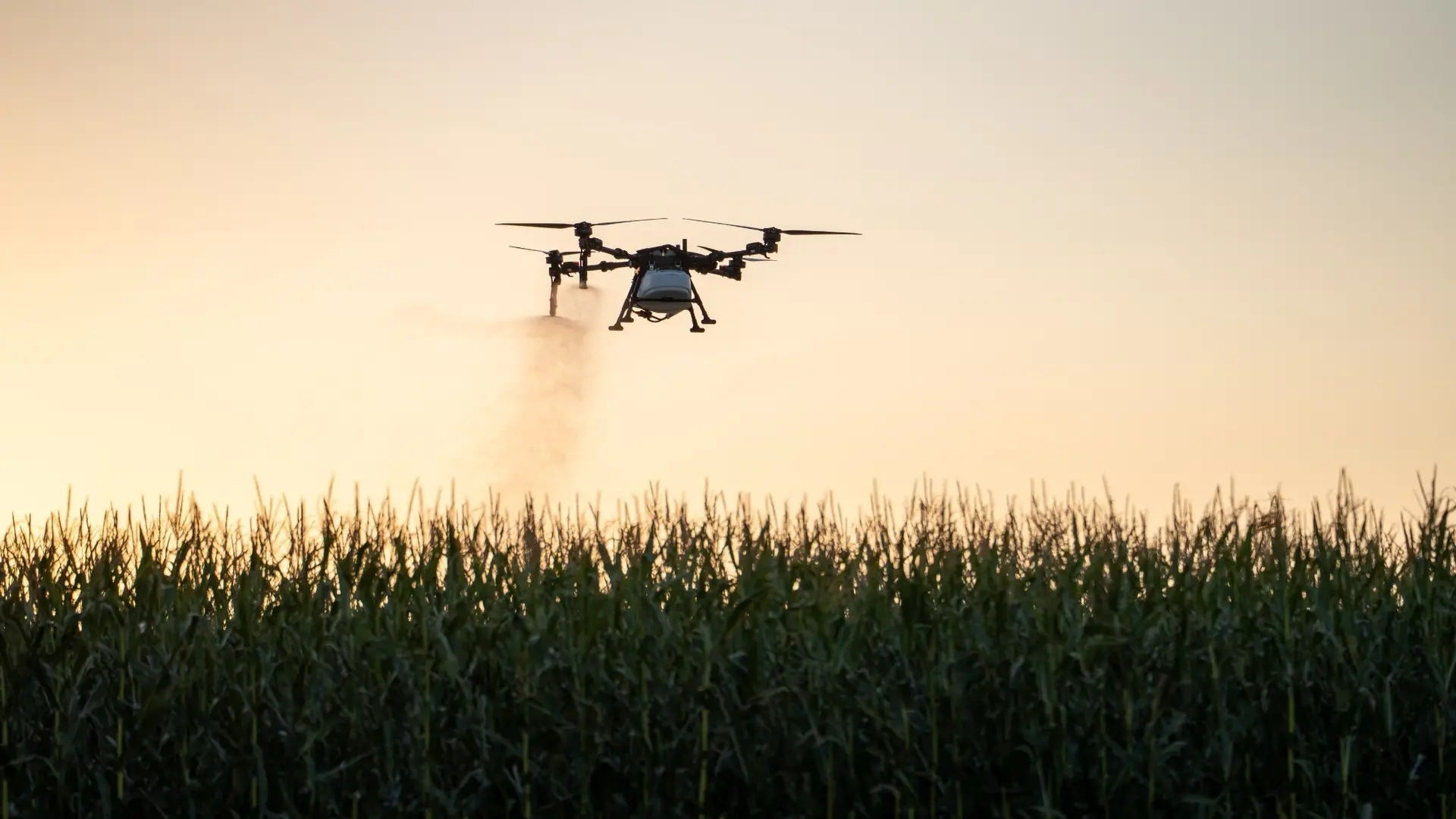 16x9_P150-Max-RevoSpray-Cornfield-3.webp