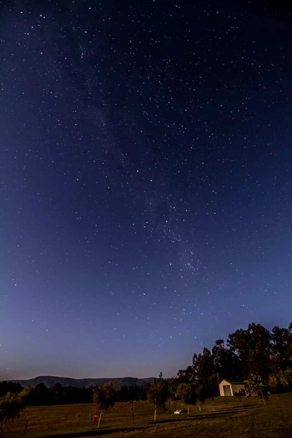 stars 2.jpeg