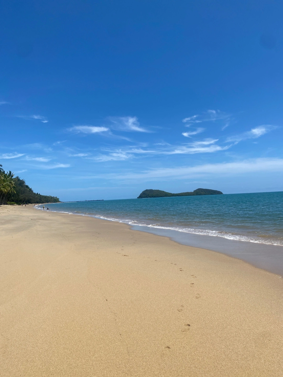 Palm Cove Beach Nicholas Jan26.jpg