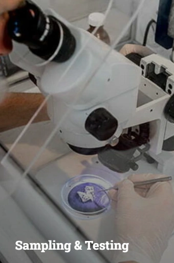 Sampling & Testing.png