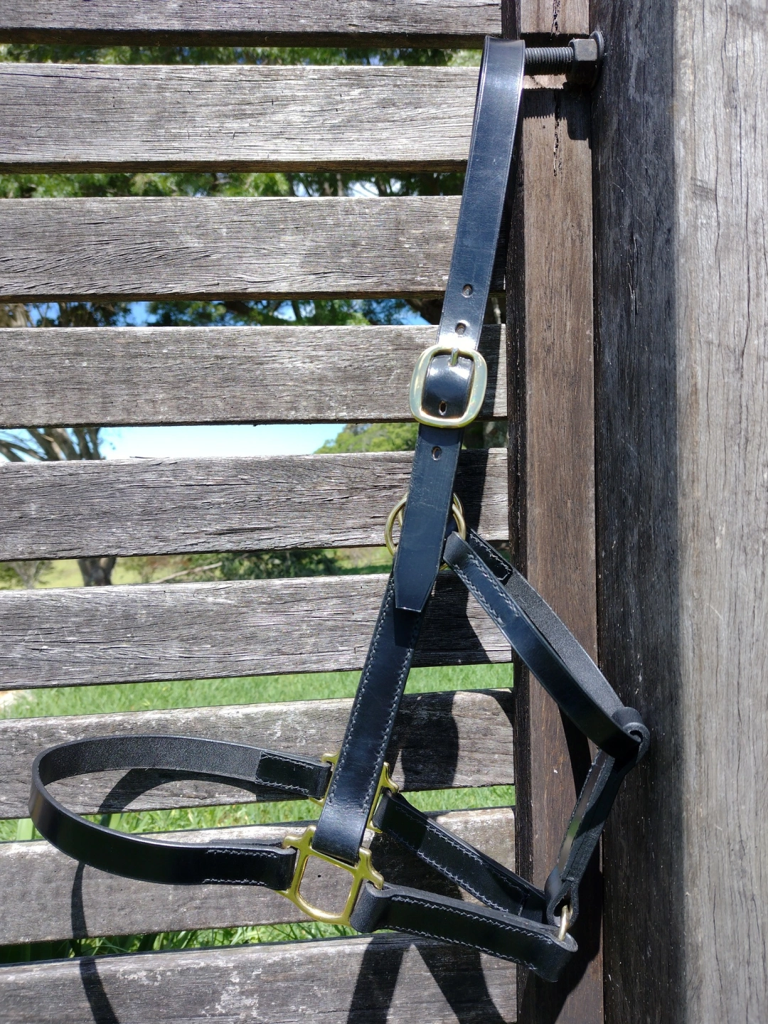 HANDMADE-LEATHER-HEADCOLLAR-AUSTRALIA.jpg