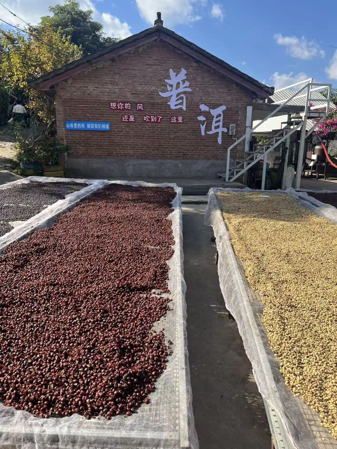 微信图片_20260311110607_105_1.jpg