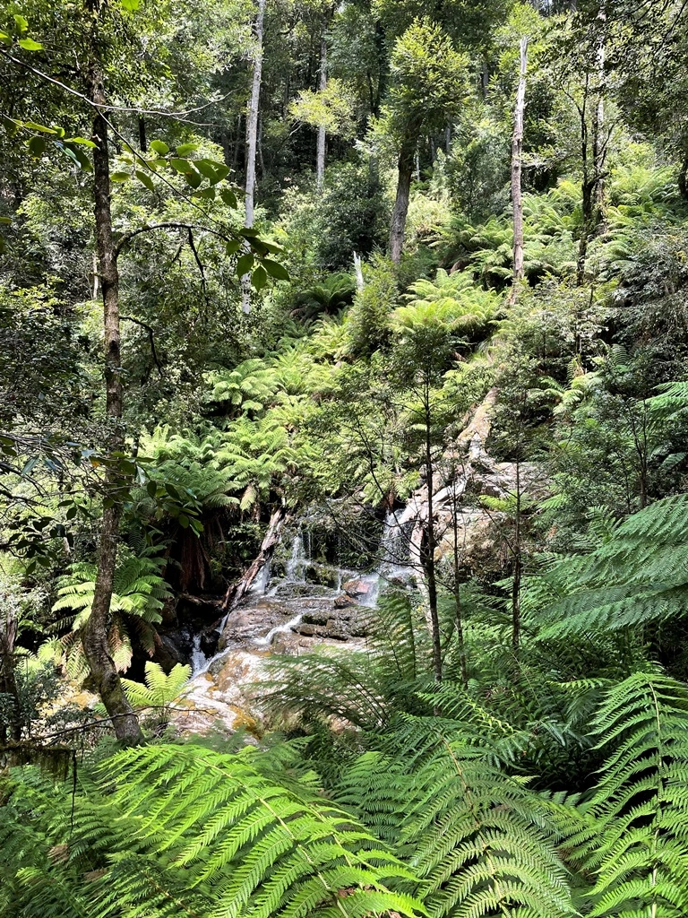 barrington waterfall_small.jpg