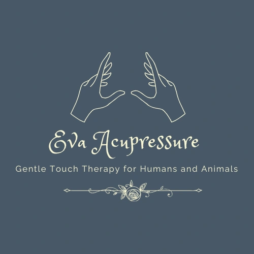 Eva Acupressure