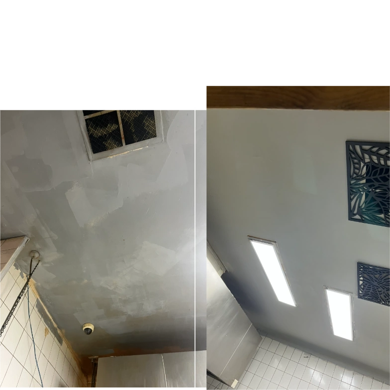 MERIDIQ_before_after_50_50 (2).png