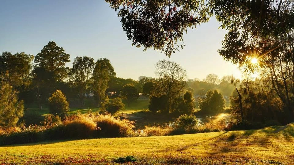 Parramatta Park.jpg