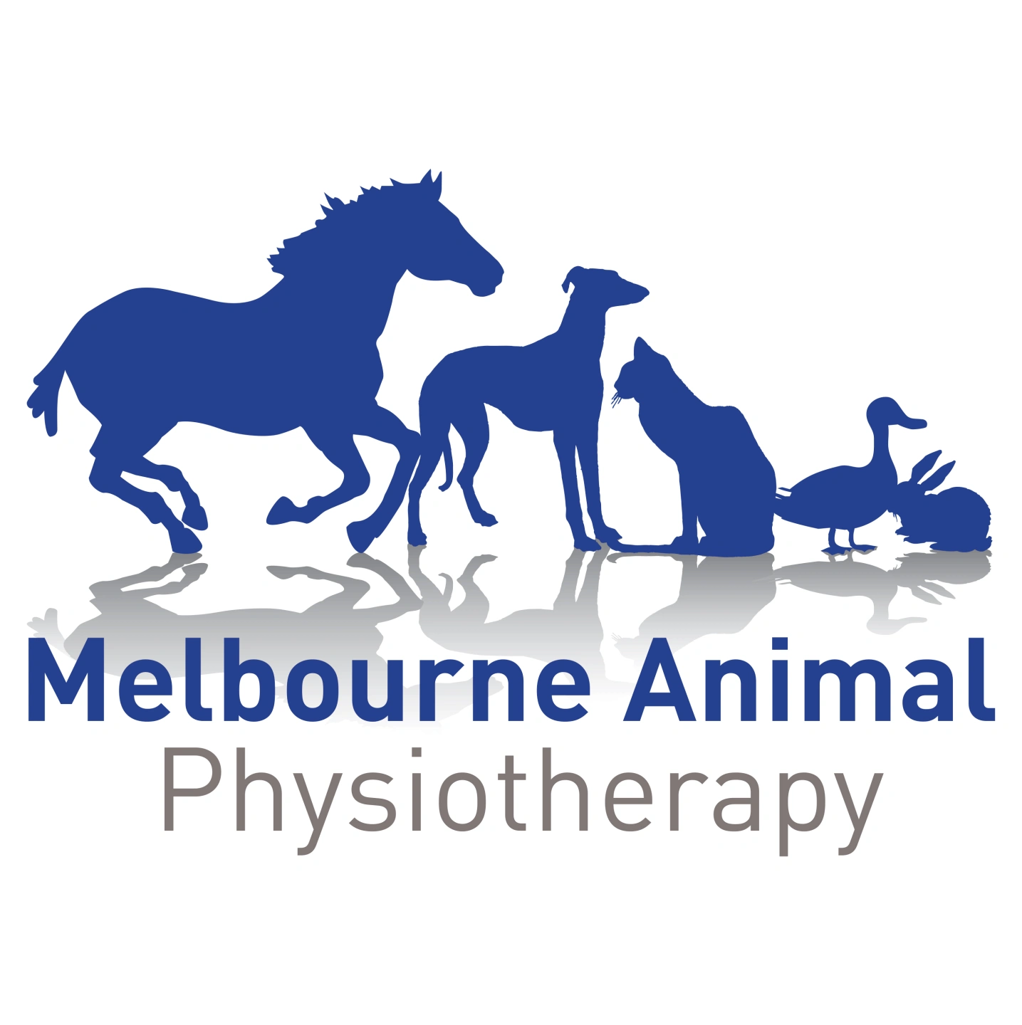 Melbourne Animal Vector Bllue copy.jpg