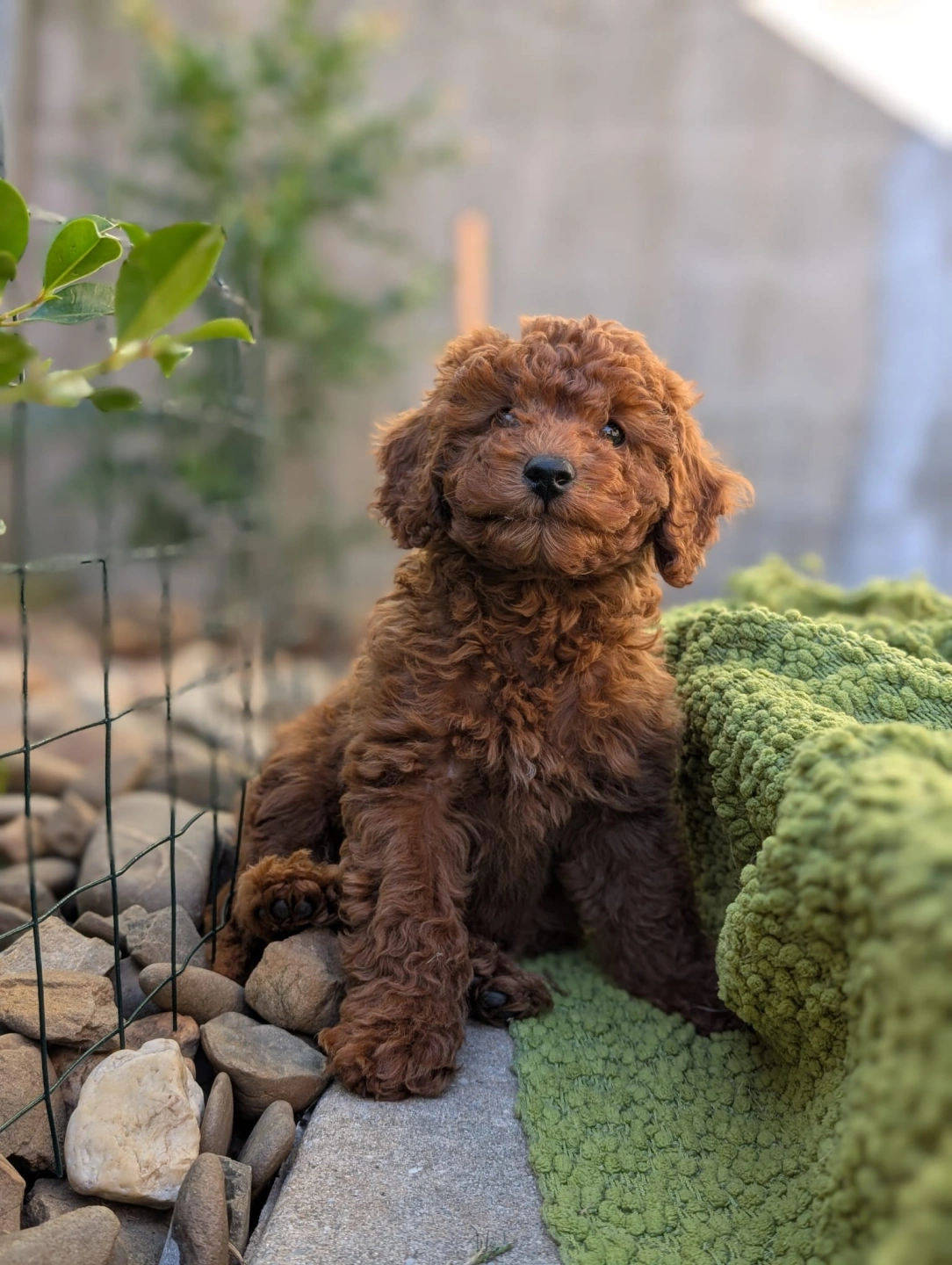 5.1 - 2026-04-21 at 10.03.02 PM.jpeg