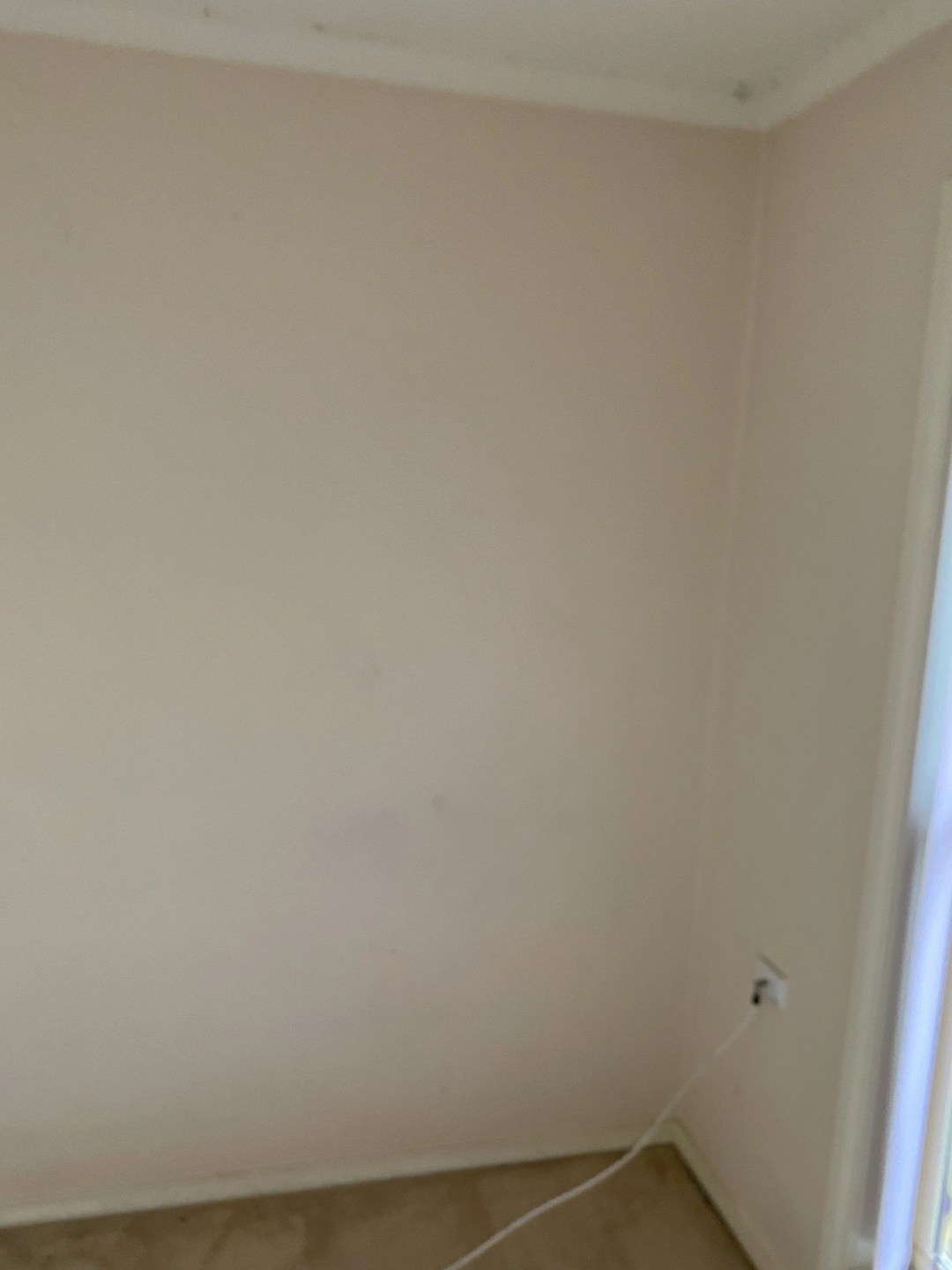 IMG_0082.jpeg