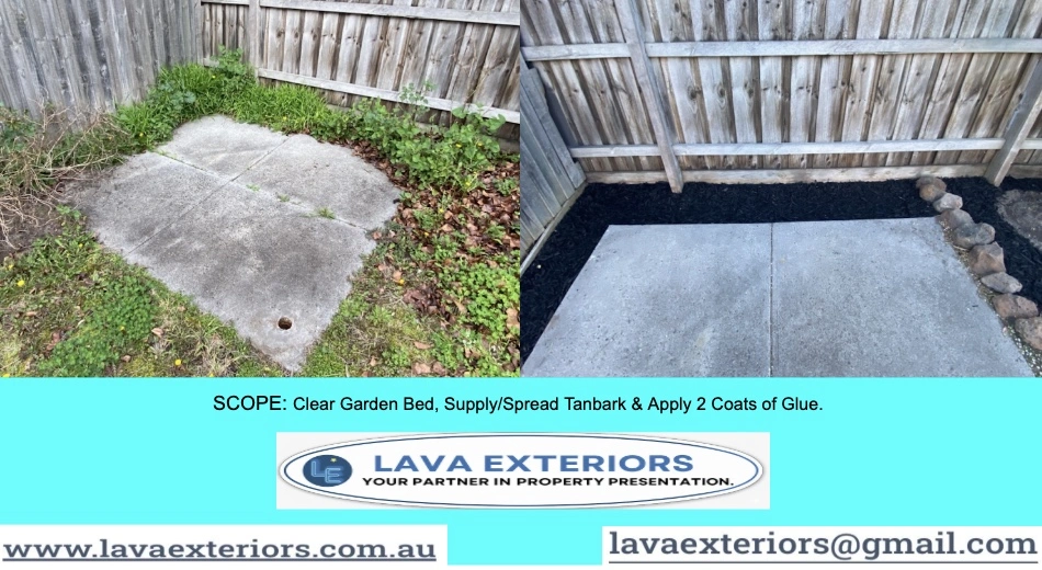 Box Hill South.5.jpg