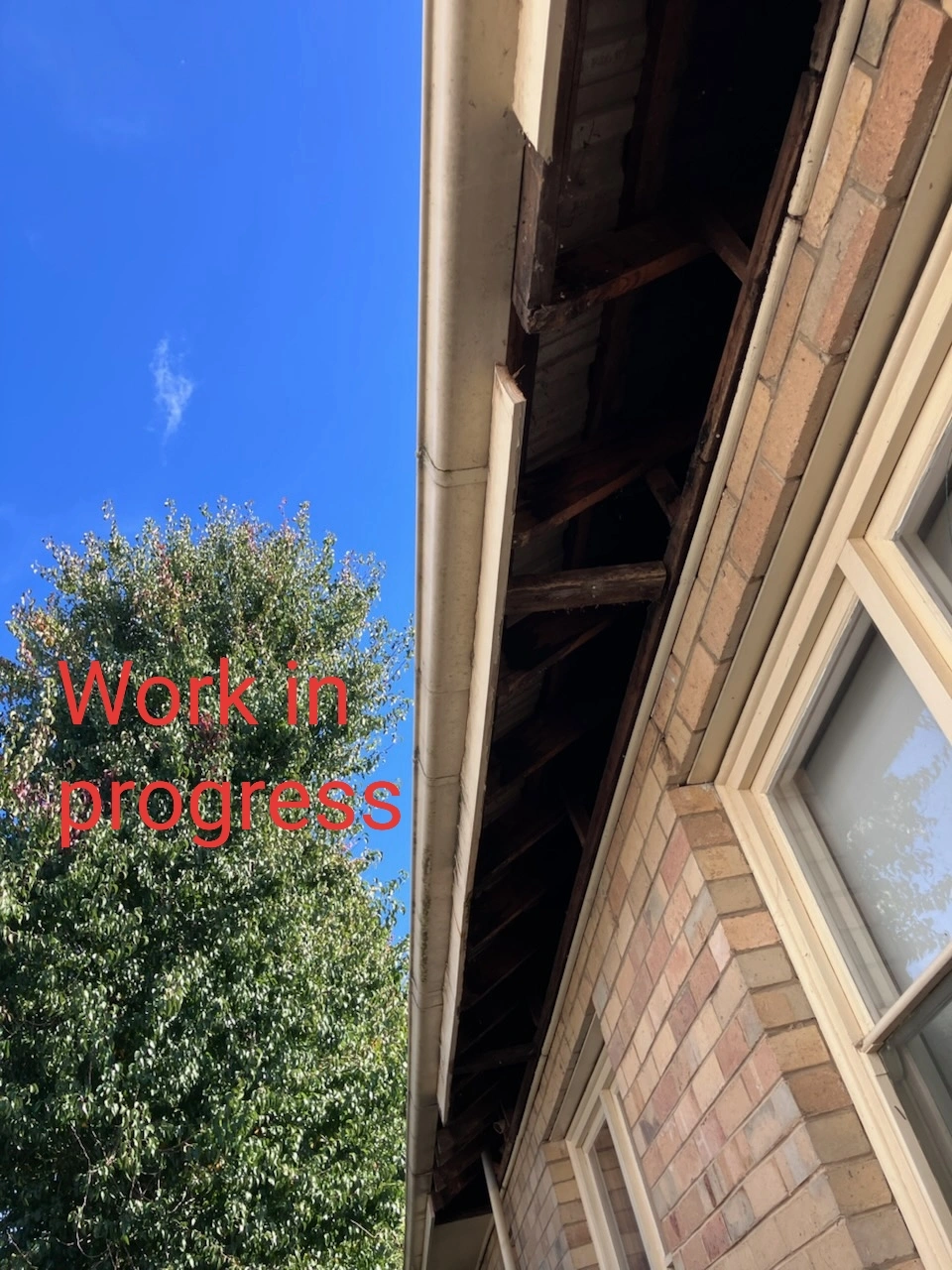 20250602_211836.jpg