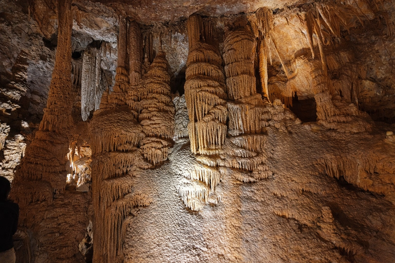 ChatGPT Image Feb 20, 2026, 05_41_51 PM.png