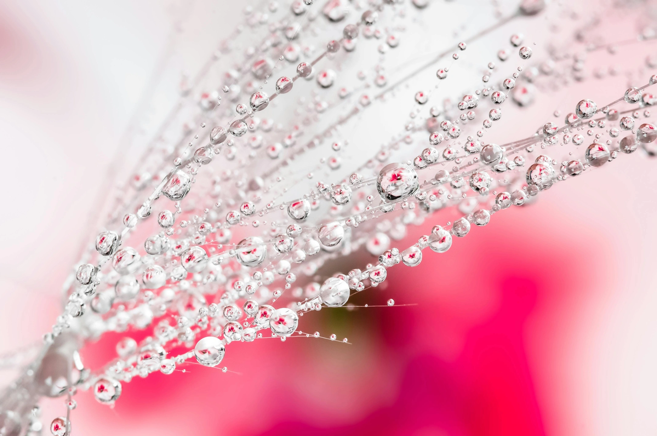 pexels-water drops.jpg