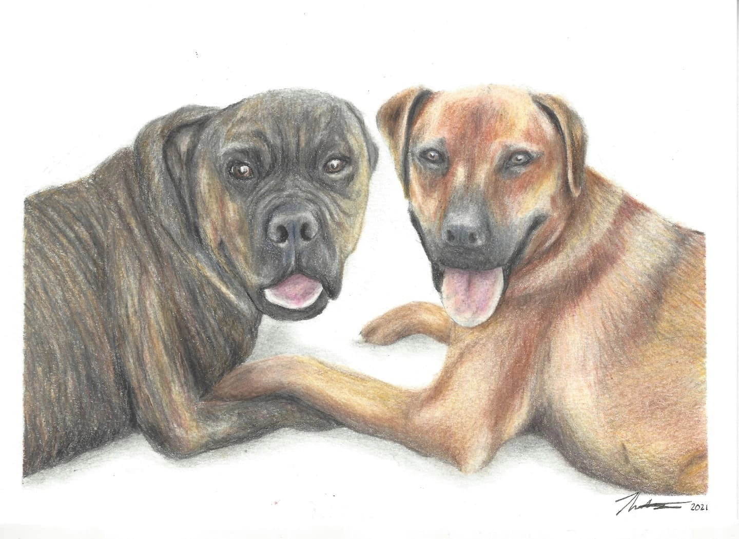 tkneen-art07.jpg