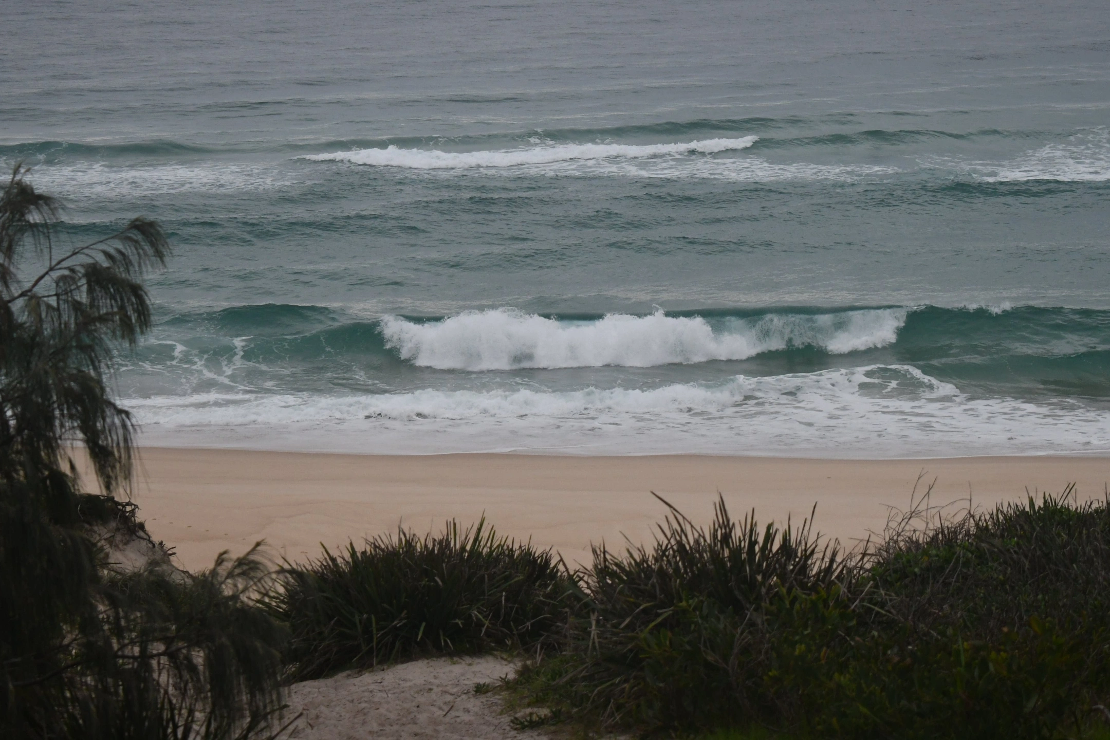 GPCC Seven Mile Beach.jpg