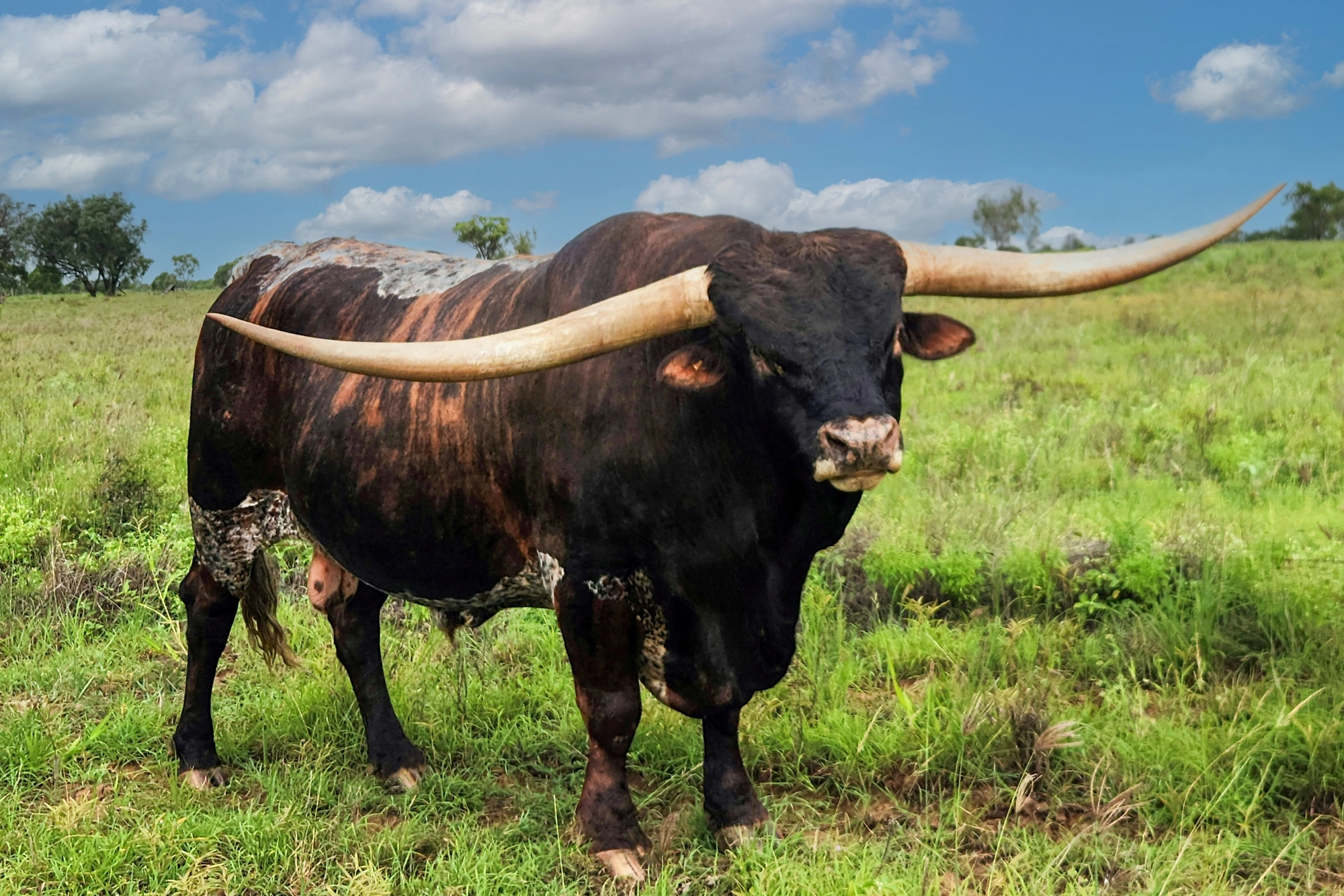 Yellowstone 26-1-26 (3).jpg