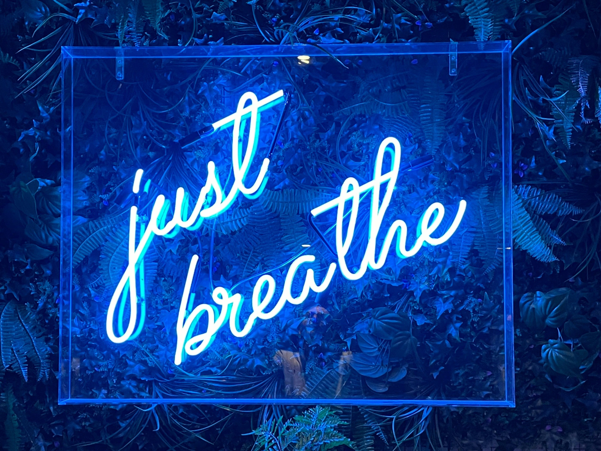 Just Breathe.jpg