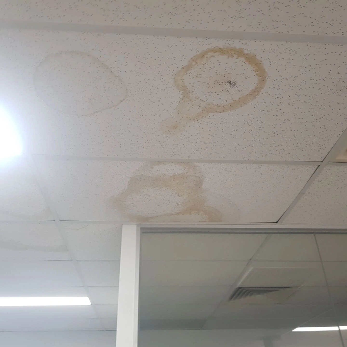 Stains from roof leaks on the ceiling 1.jpg