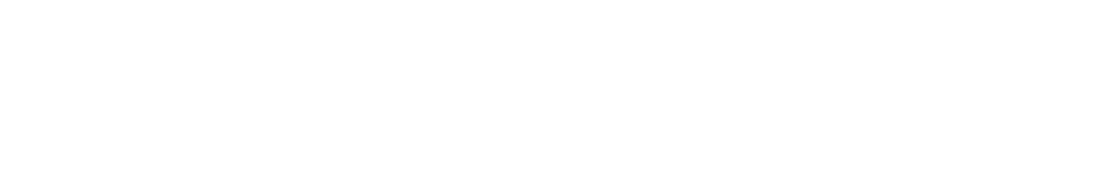 bocini.png