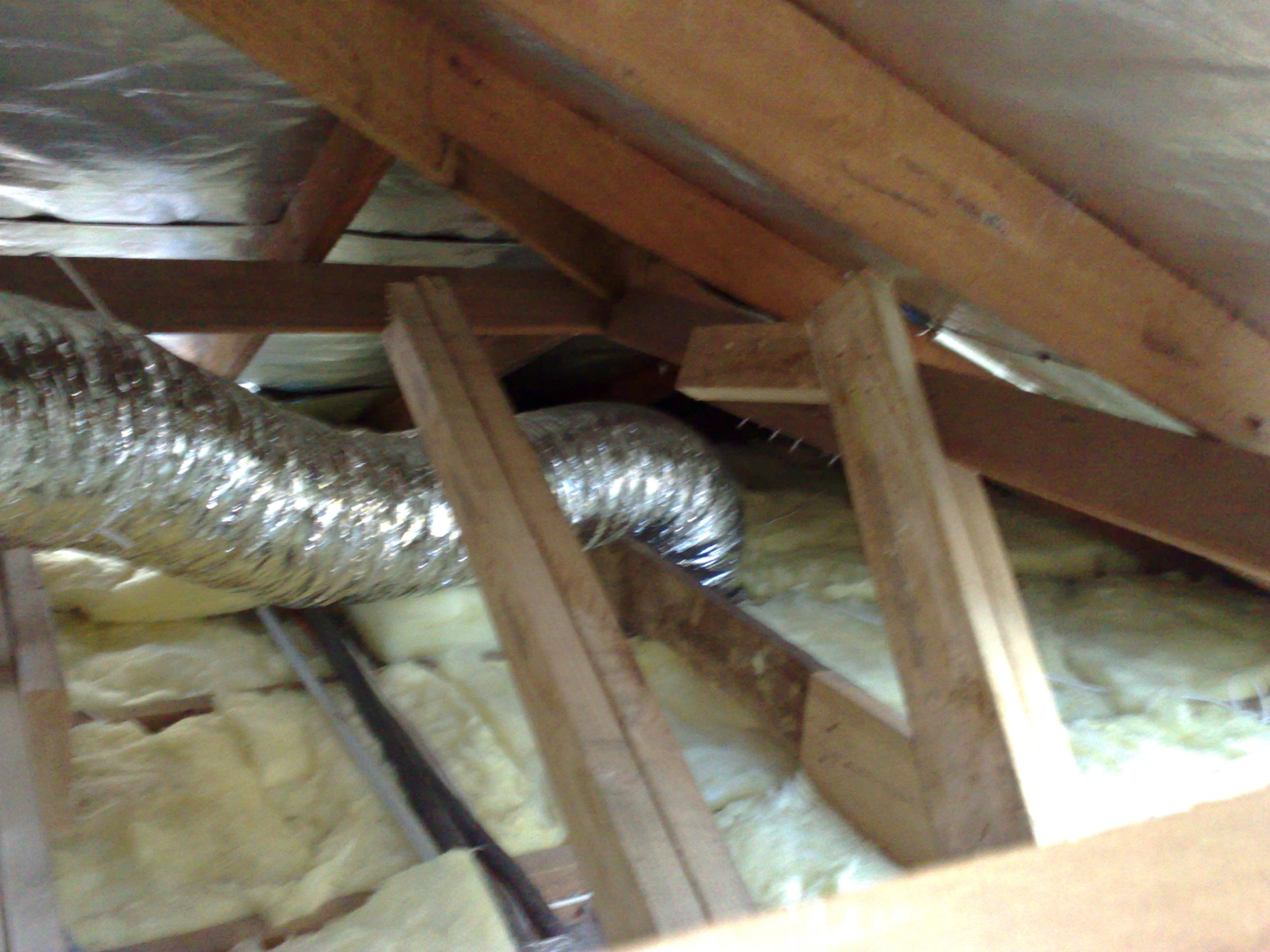 11062010949.jpg
