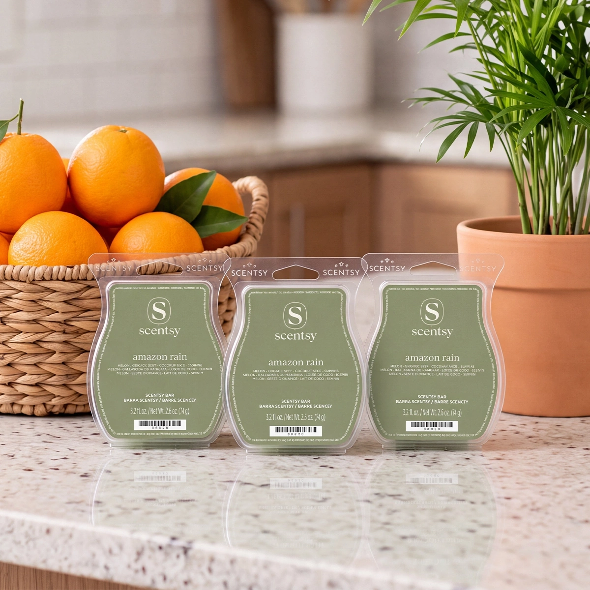 SCENTWaxAmazonRain2R12026f61a734d50b3416698401f6137cd0889_highres.webp