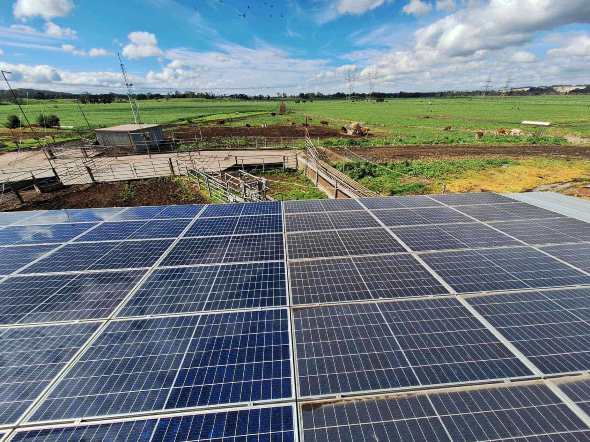 Solar Panel clean in Tyers (1).jpg