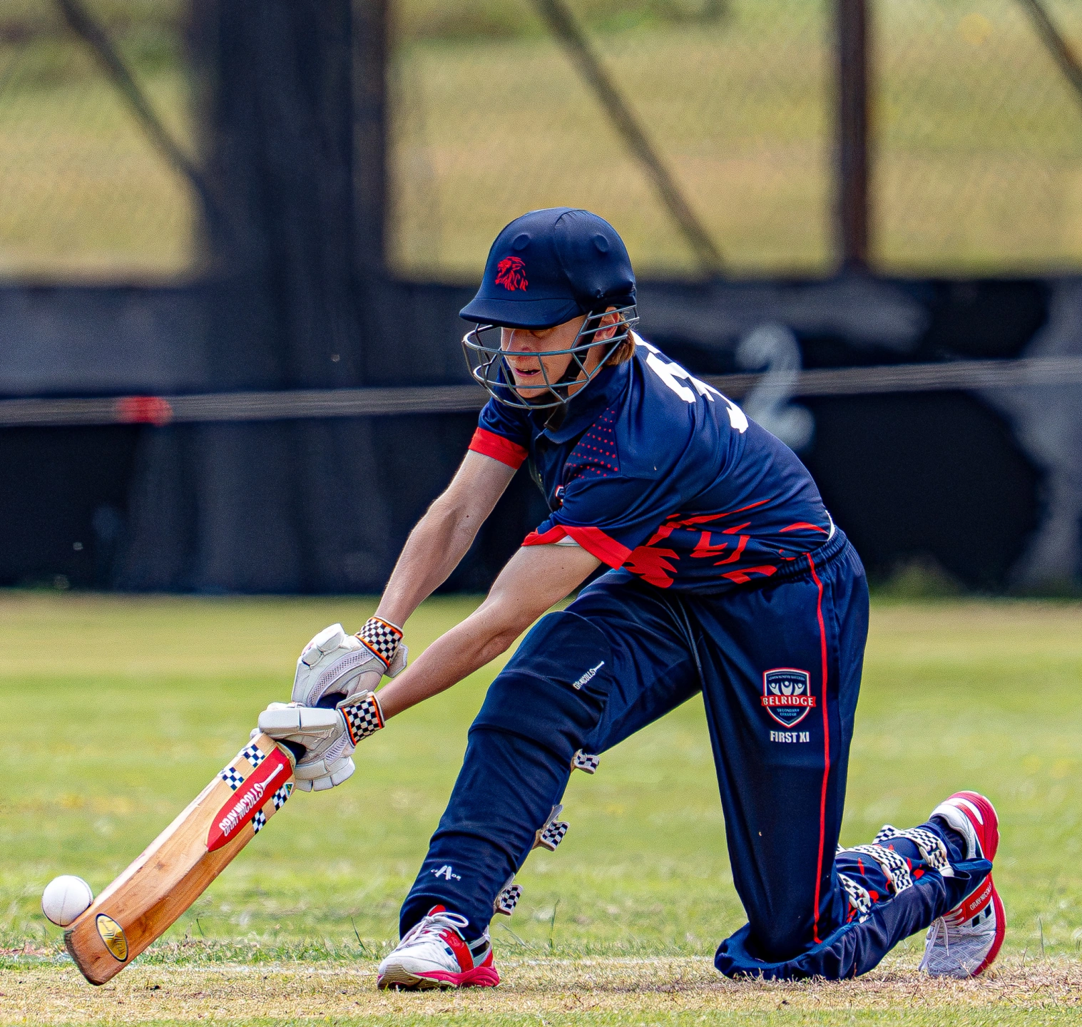 Untitled-24.jpg