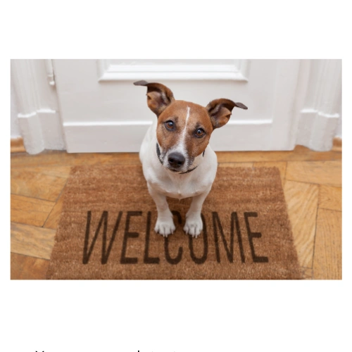 Welcom.png