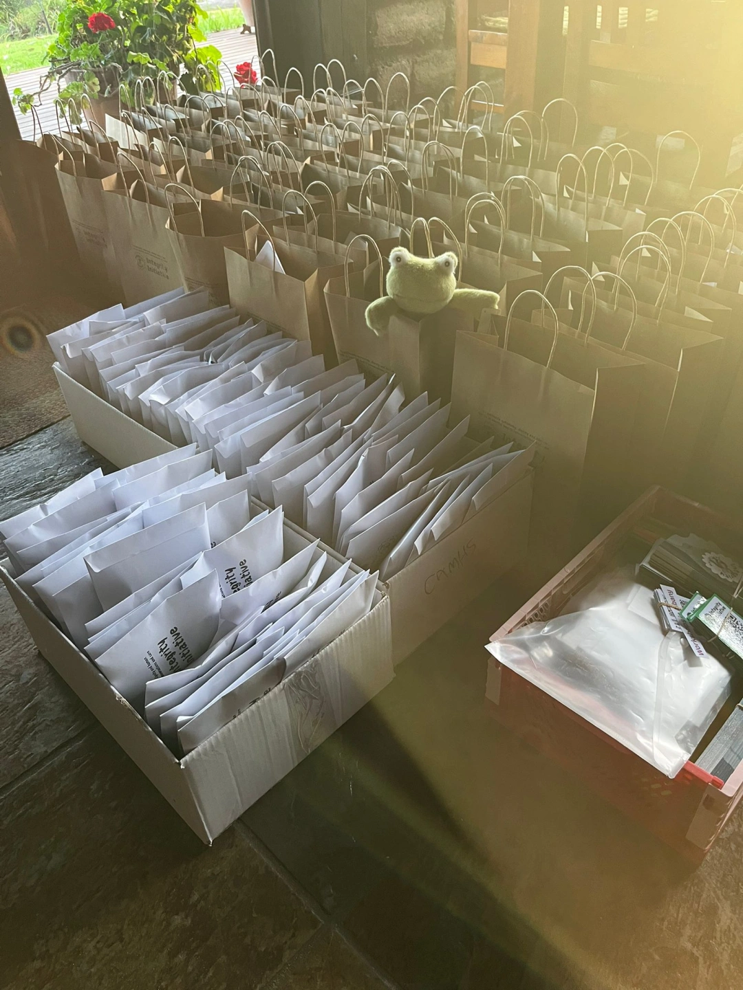 WhatsApp Image 2026-03-04 at 2.45.23 PM (2).jpeg