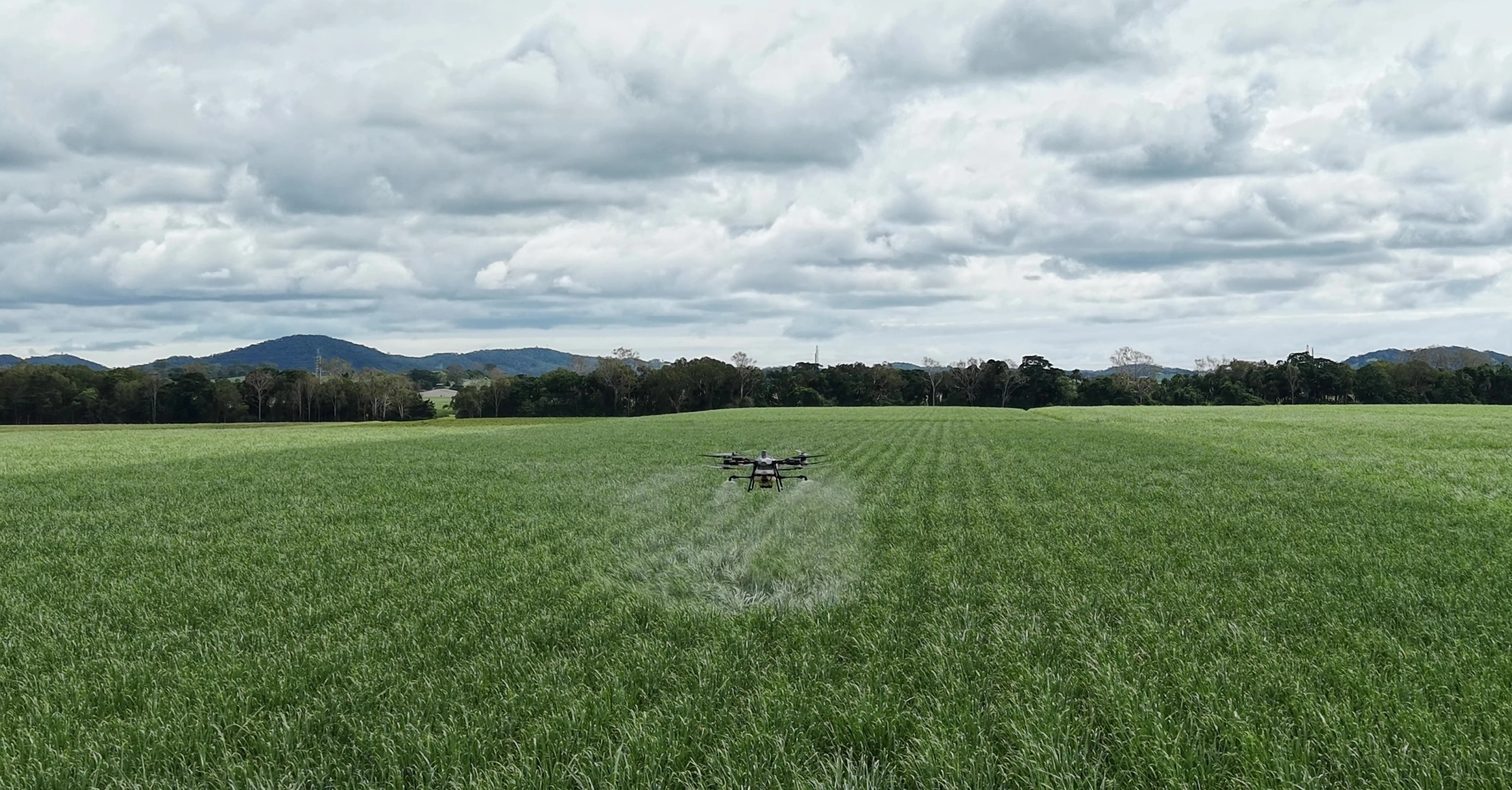 Drone spraying.jpg