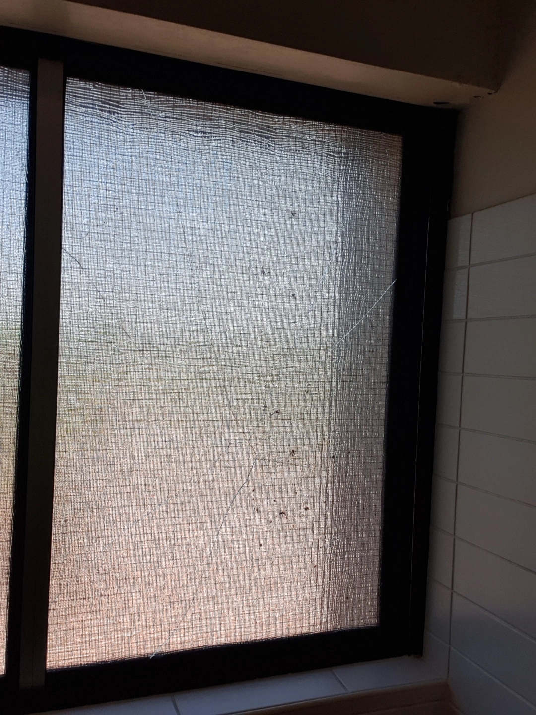 20190913_122342.jpg