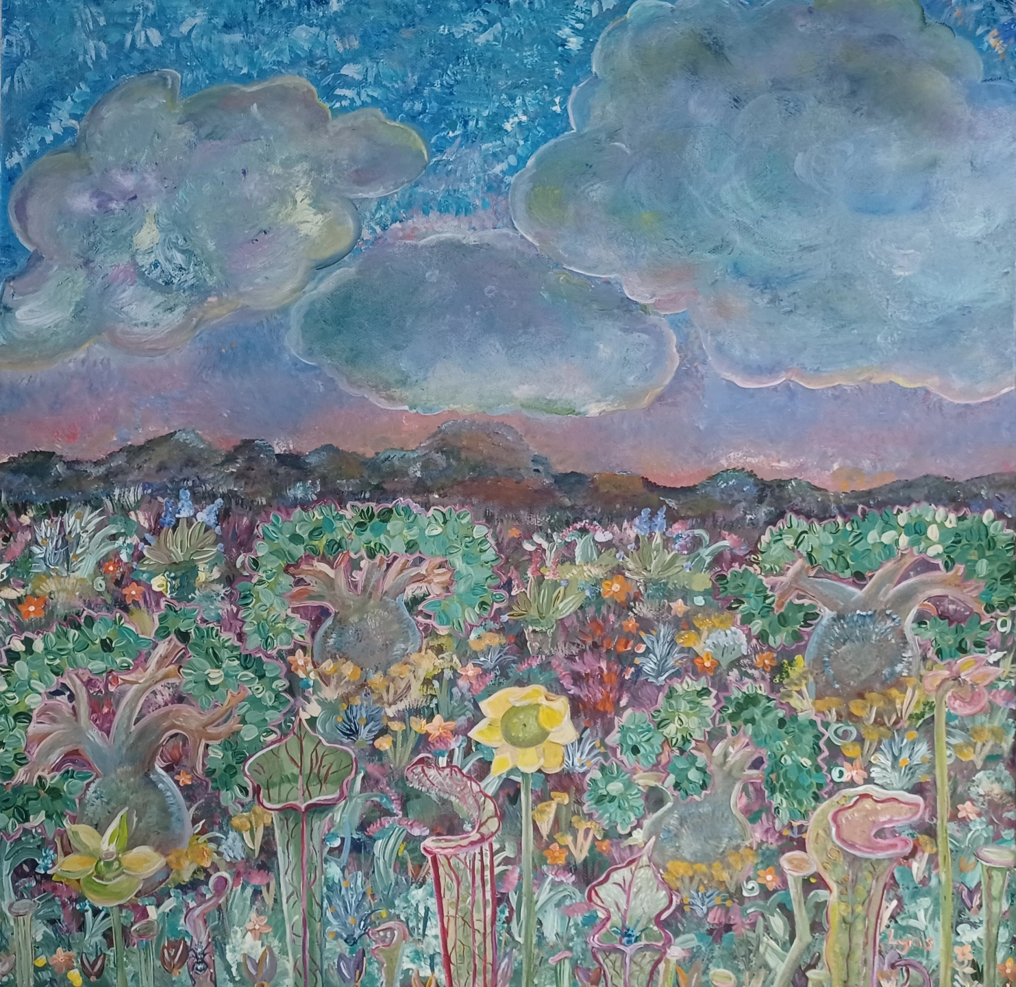 Snowden_Lyris_Bottle trees and sarracenia with seasonal clouds 2025.jpg