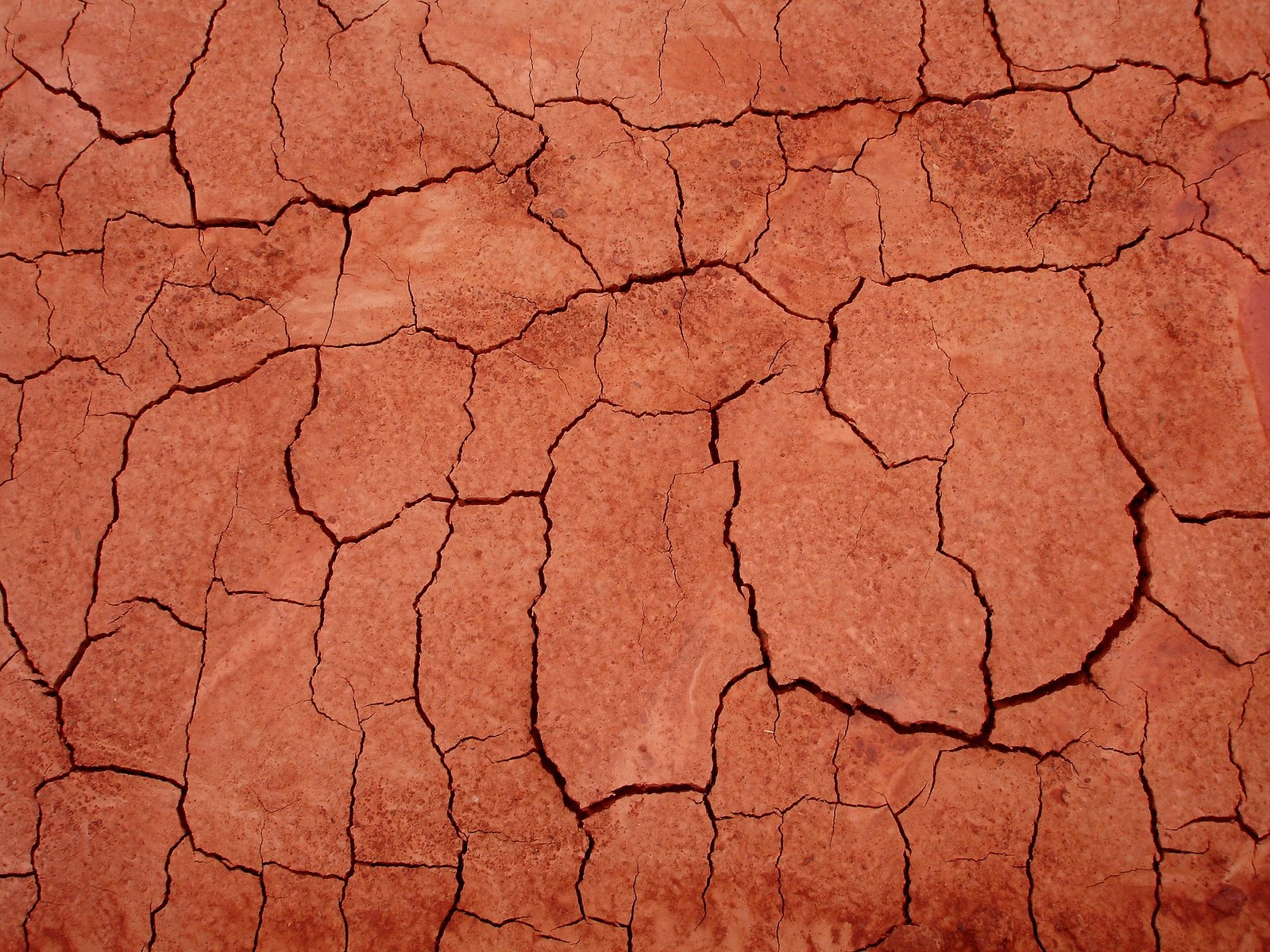 dried-cracked-red-clay-1-1219644.jpg