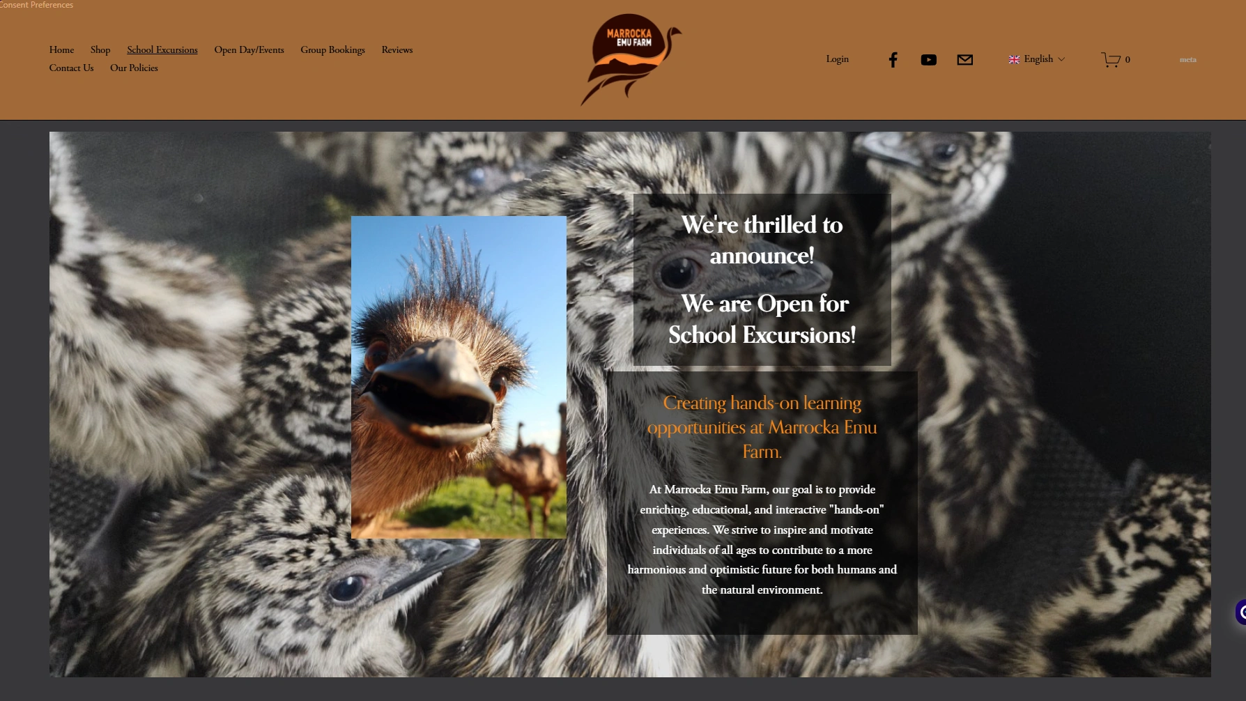 emu site screenshot.png