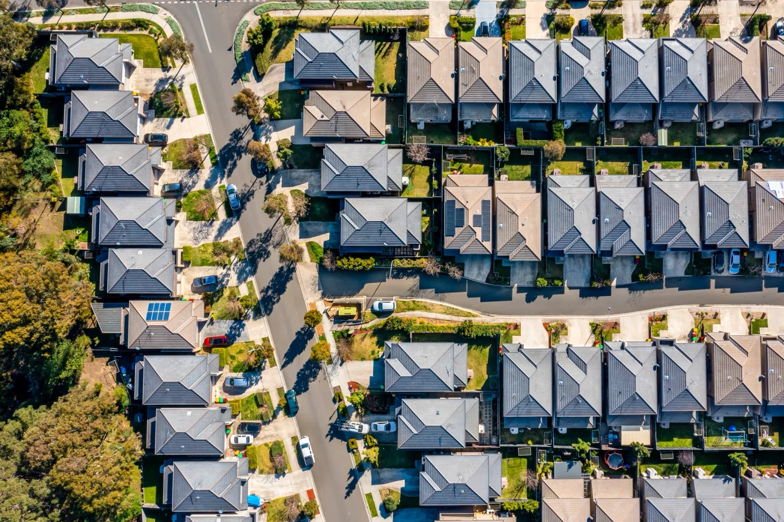 houses.webp